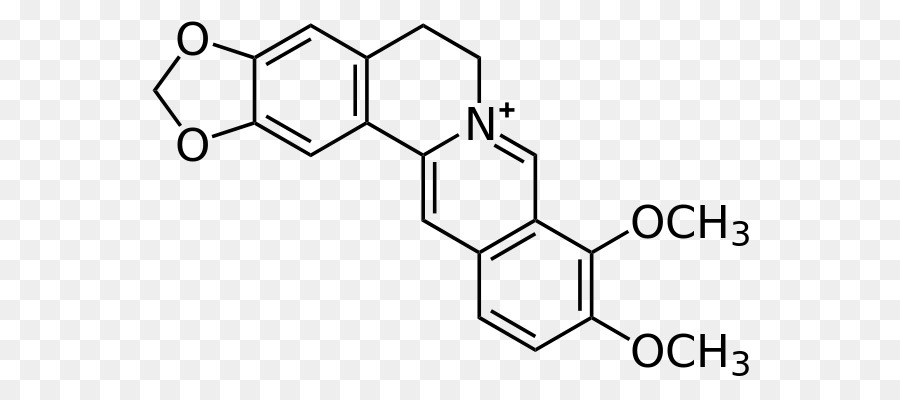 Berberine，Klorür PNG