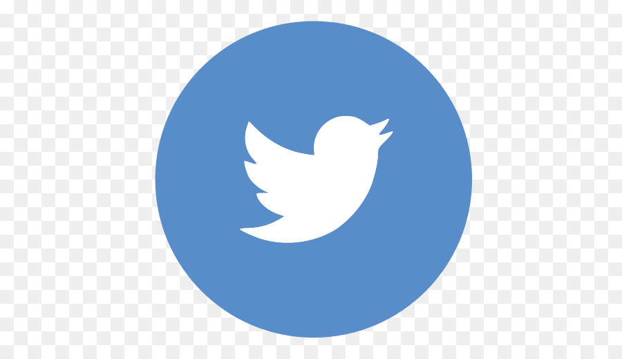 Twitter Logosu，Kuş PNG