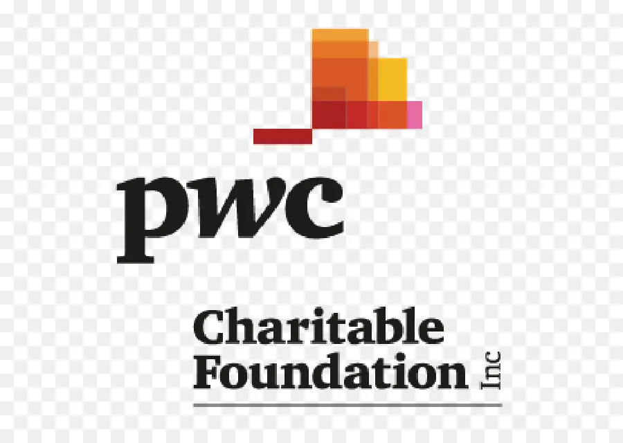 Pwc Yardım Vakfı，Hayır Kurumu PNG