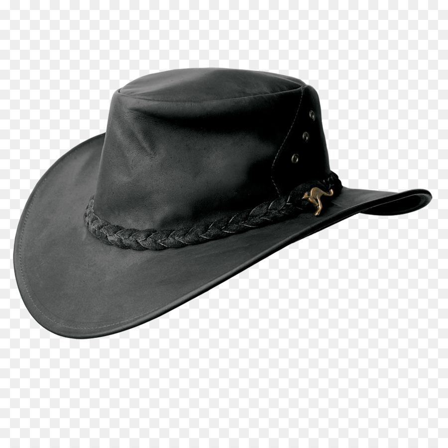 şapka，Darwin PNG