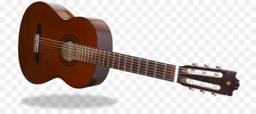 Ukulele，Dizeler PNG