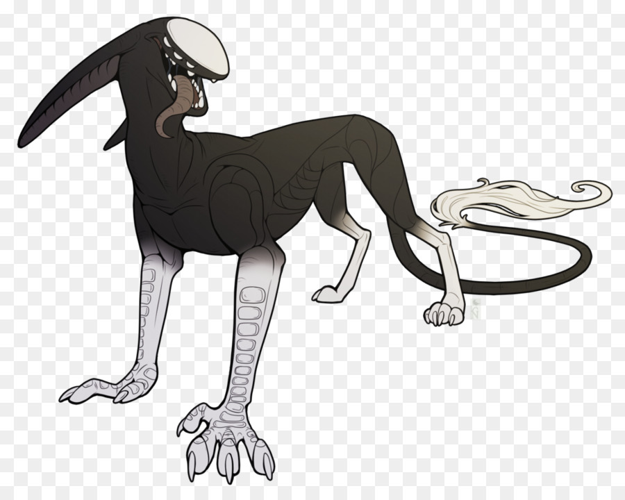 İtalyan Greyhound，Tazı PNG