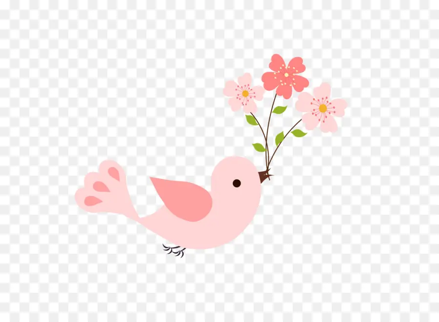 Kuş，çiçeği PNG