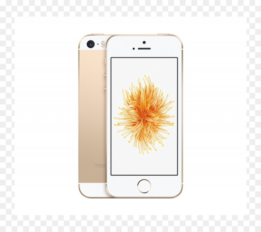 Iphone Se，Altın PNG