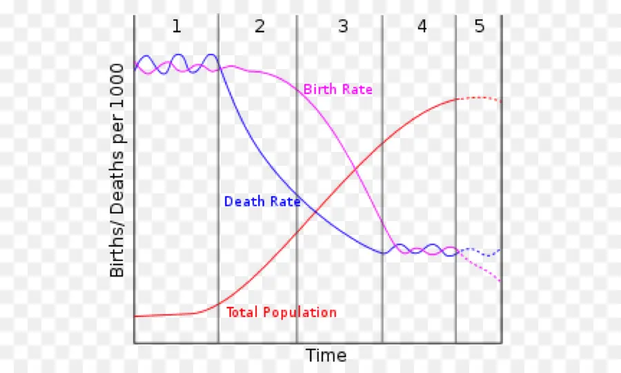 Doğum Ve Ölüm Hızı Grafiği，Nüfus PNG