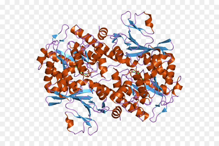 Nikotinamid Phosphoribosyltransferase，Nikotinamid PNG