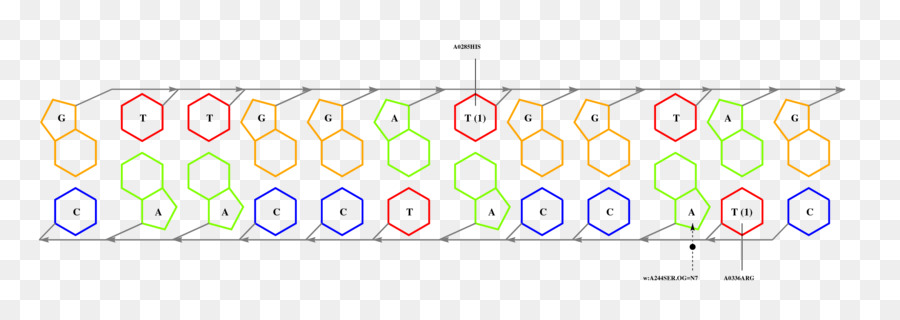 Grafik Tasarım，Marka PNG