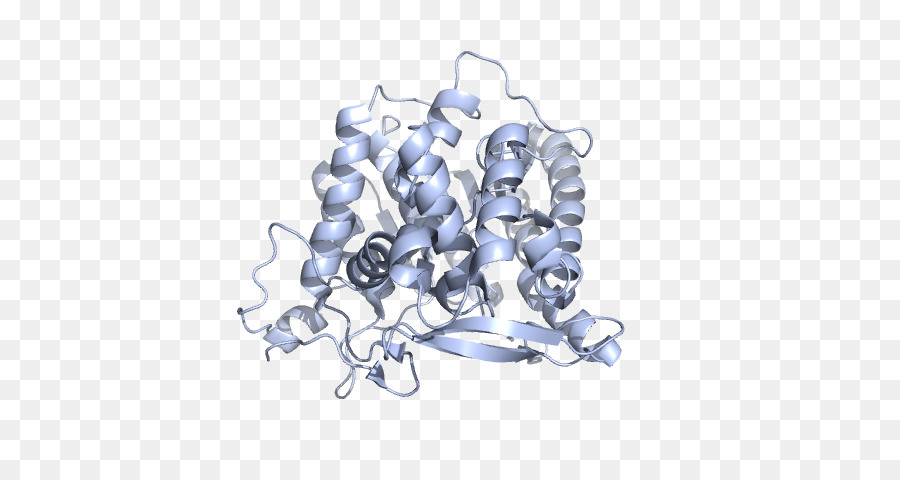 Protein Yapısı，Molekül PNG