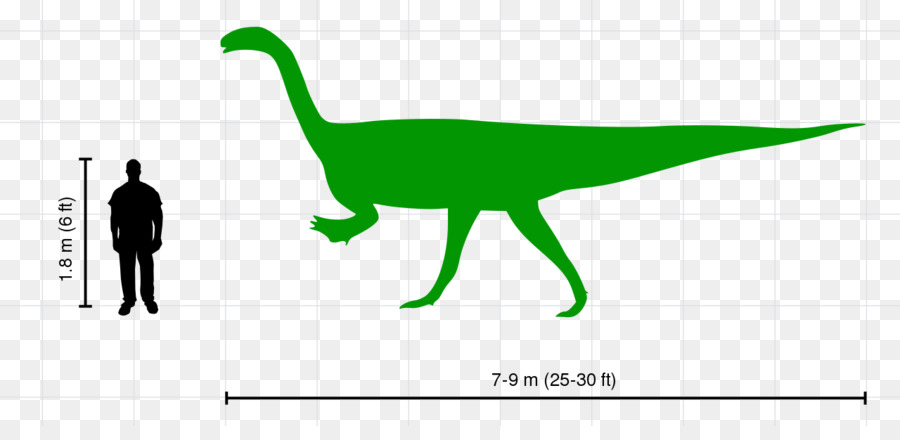 Plateosaurus，Velociraptor PNG