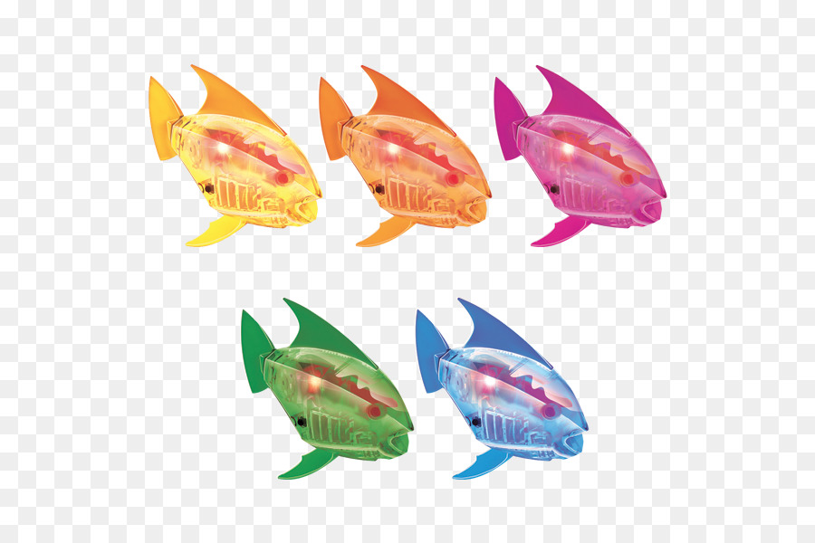 Balık，Akvaryum PNG