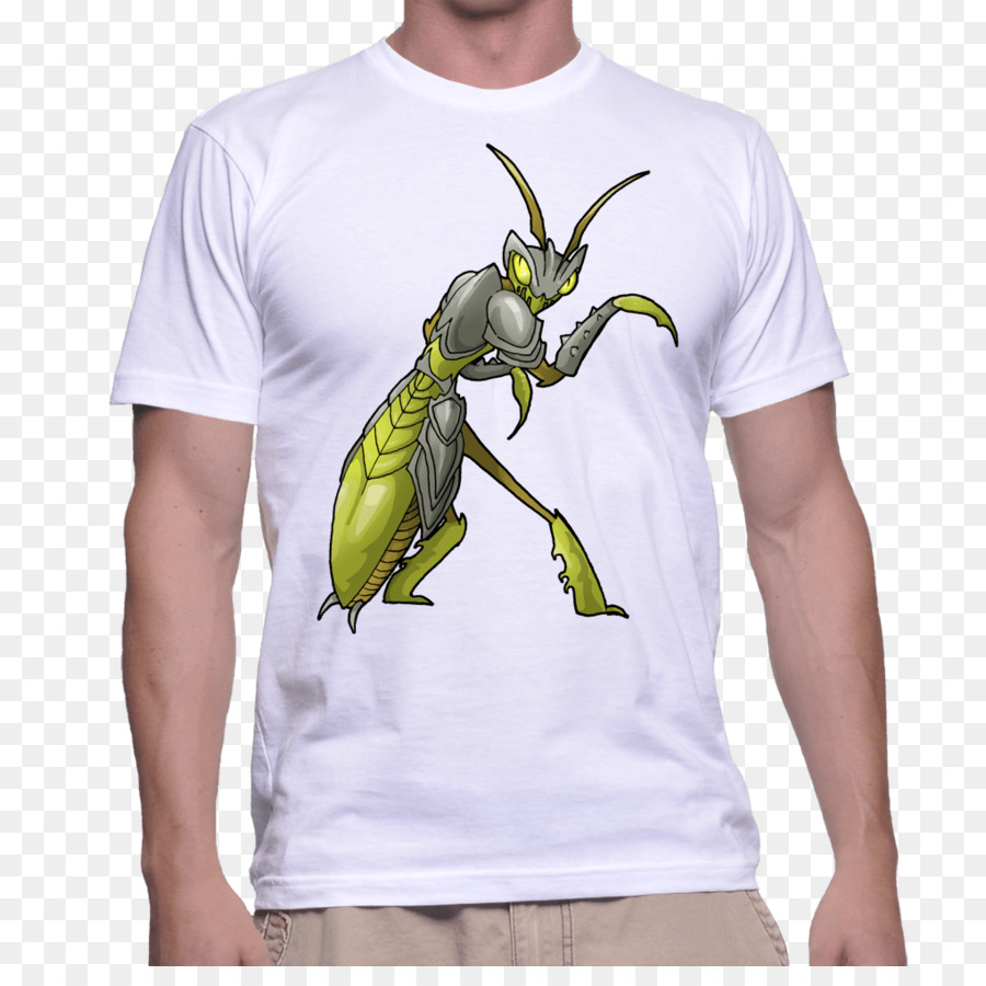 Tshirt，Gömlek PNG