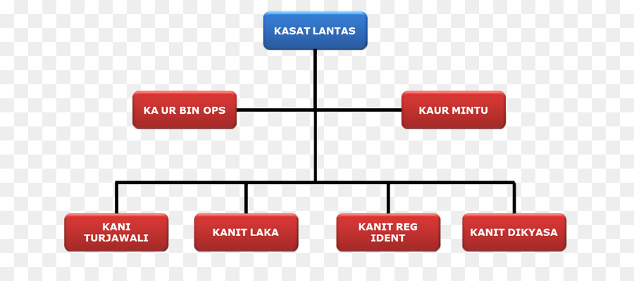 Organizasyon Şeması，Yapı PNG