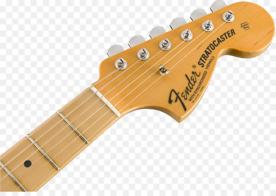 Gitar Mesnetli，Schecter PNG