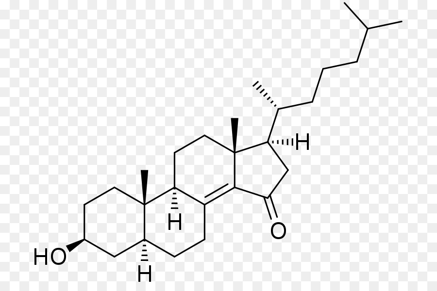 3pidroksisteroid Dehidrojenaz，Pregnenolon PNG