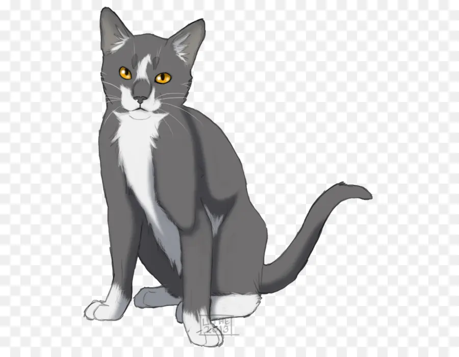 Kara Kedi，Evcil Hayvan PNG