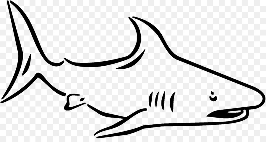 Köpekbalığı，Boyama Kitabı PNG