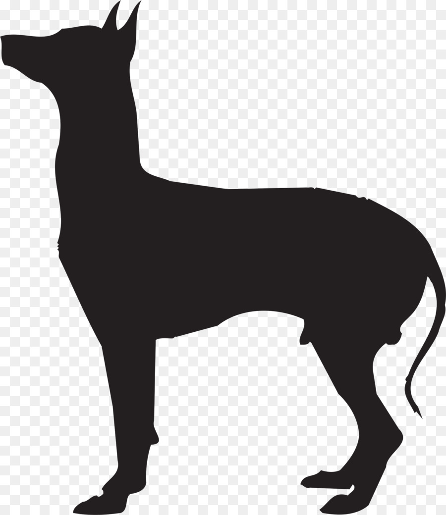 Köpek，Siluet PNG