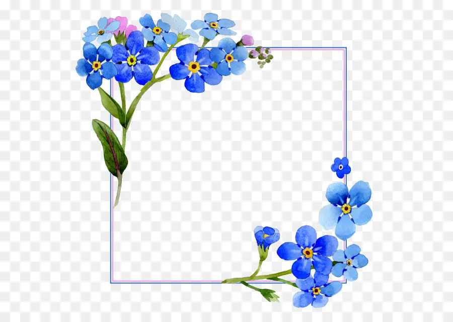 çiçek Tasarımı，Suluboya Resim PNG