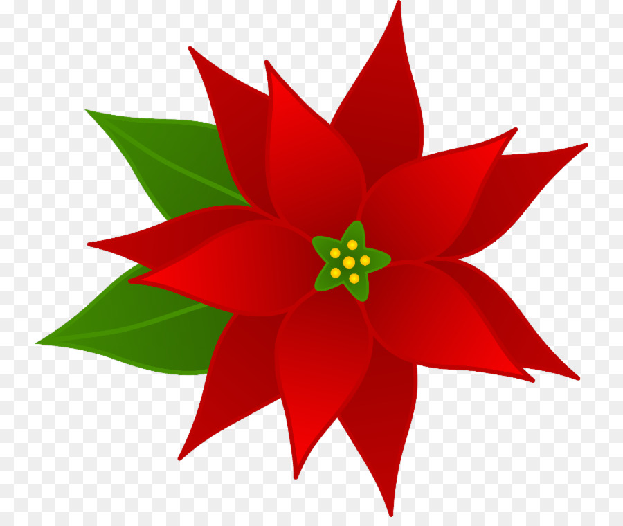 Küçük Resim Noel，Poinsettia PNG