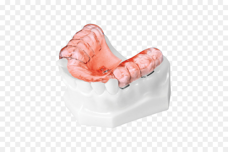 Diş，Ortodonti PNG