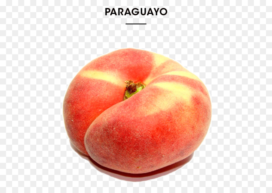 Paraguayo Şeftali，Şeftali PNG