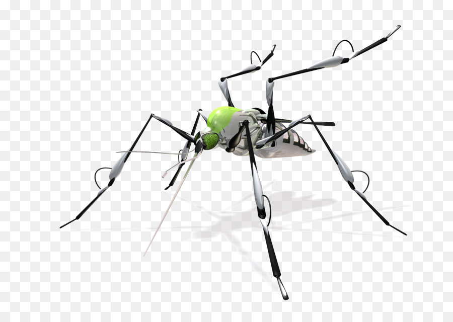 Sivrisinek，Ev Böcek Kovucular PNG