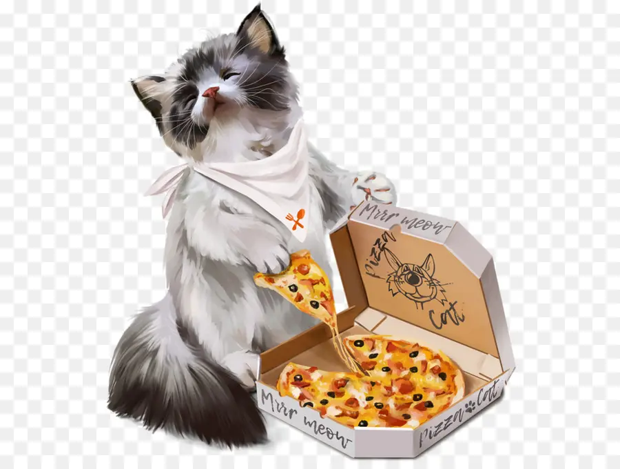 Pizzalı Kedi，Pizza Kutusu PNG