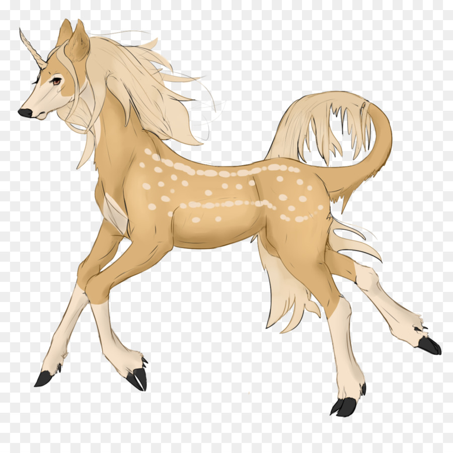 Mustang，Midilli PNG