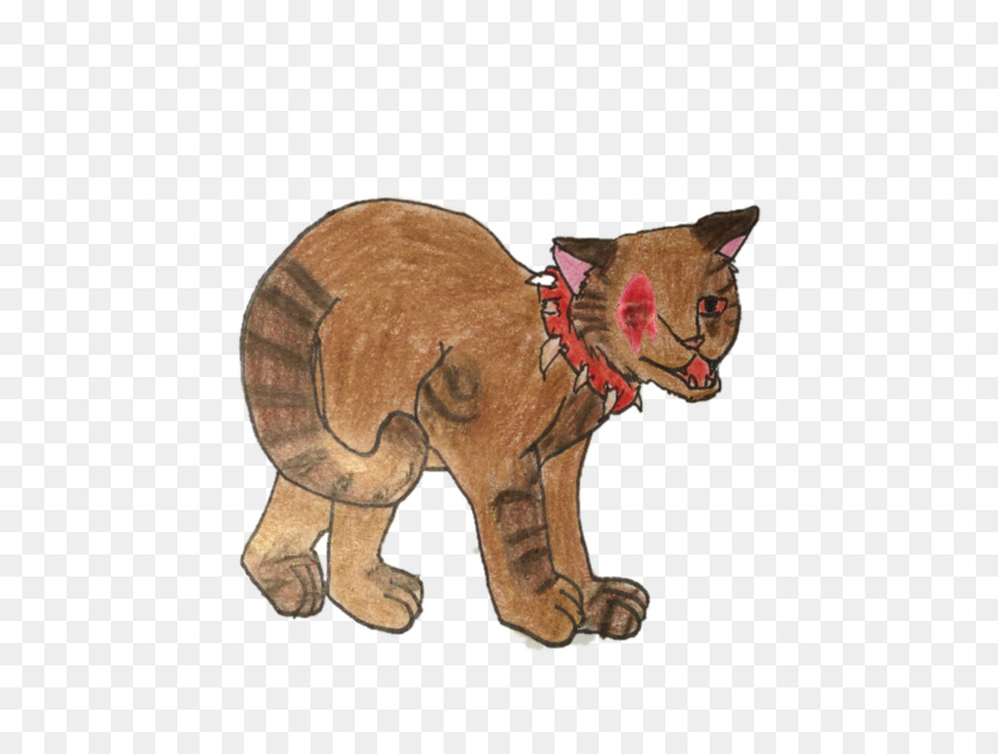 Kedi，Fauna PNG