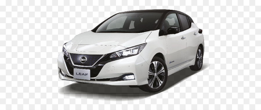 2018 Nissan Yaprak，Nissan PNG