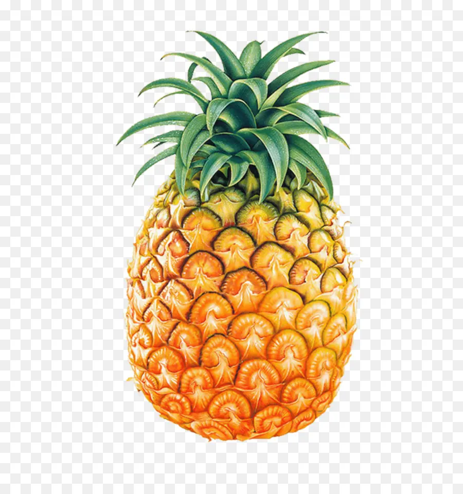 Ananas，Tropikal PNG