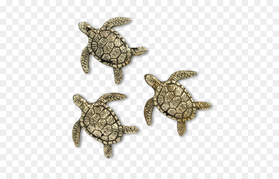 Deniz Kaplumbağası，Kaplumbağa PNG