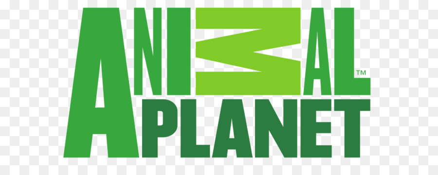 Logo，Renk Renk PNG