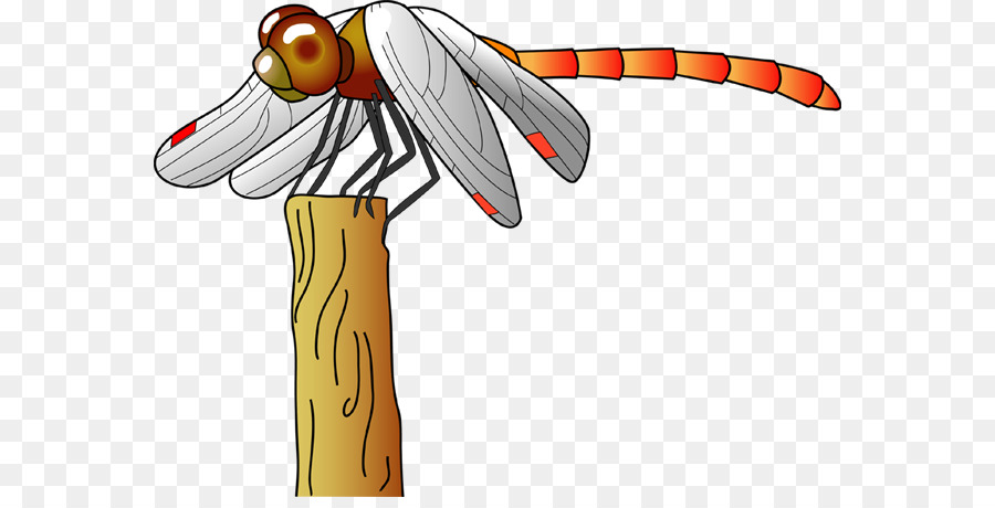 Odonate，Meadowhawks PNG