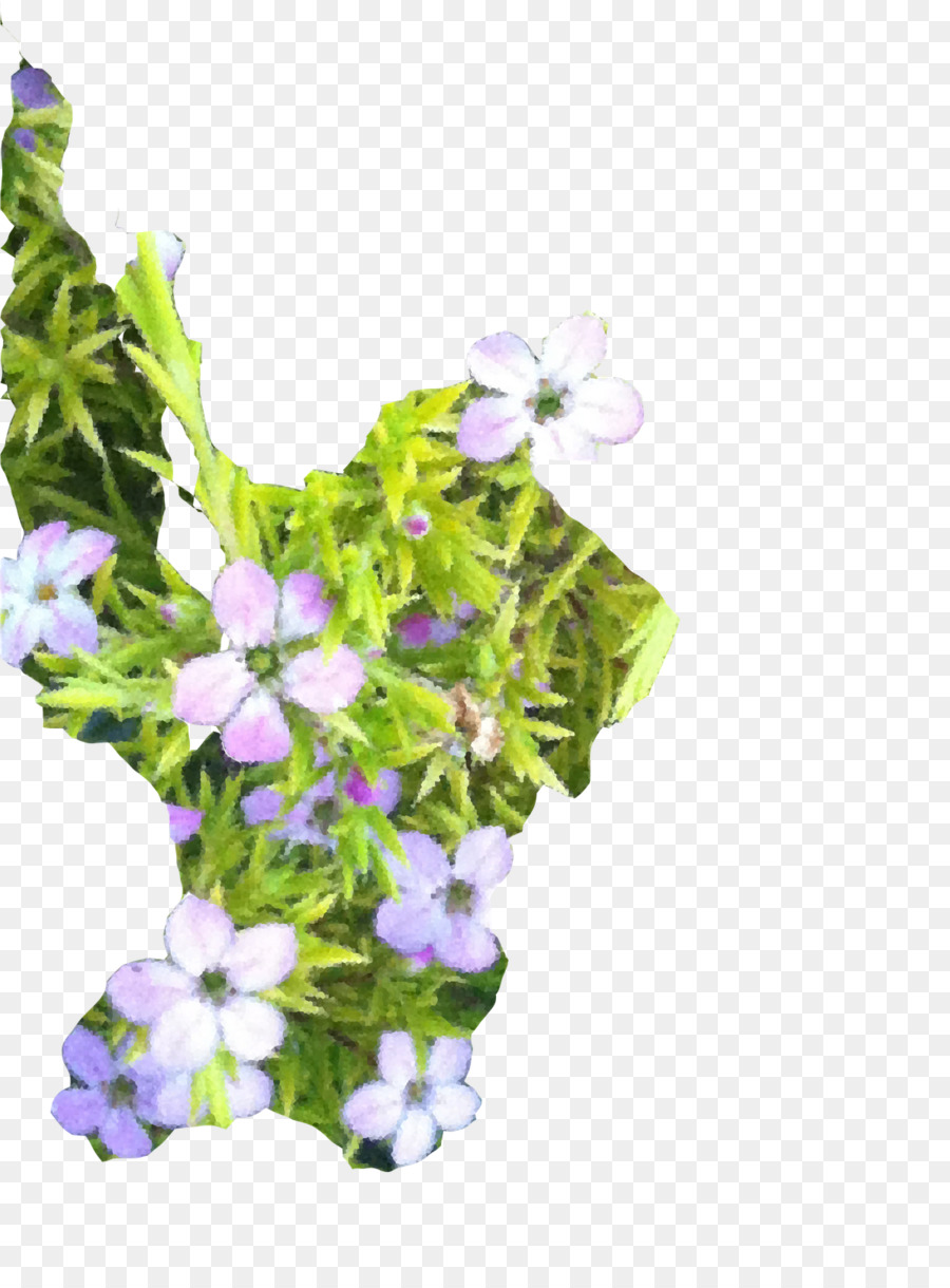 Yıllık Bitki，çiçek PNG