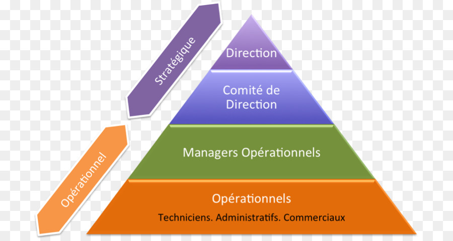 Stratejik Yönetim，Organizasyon PNG