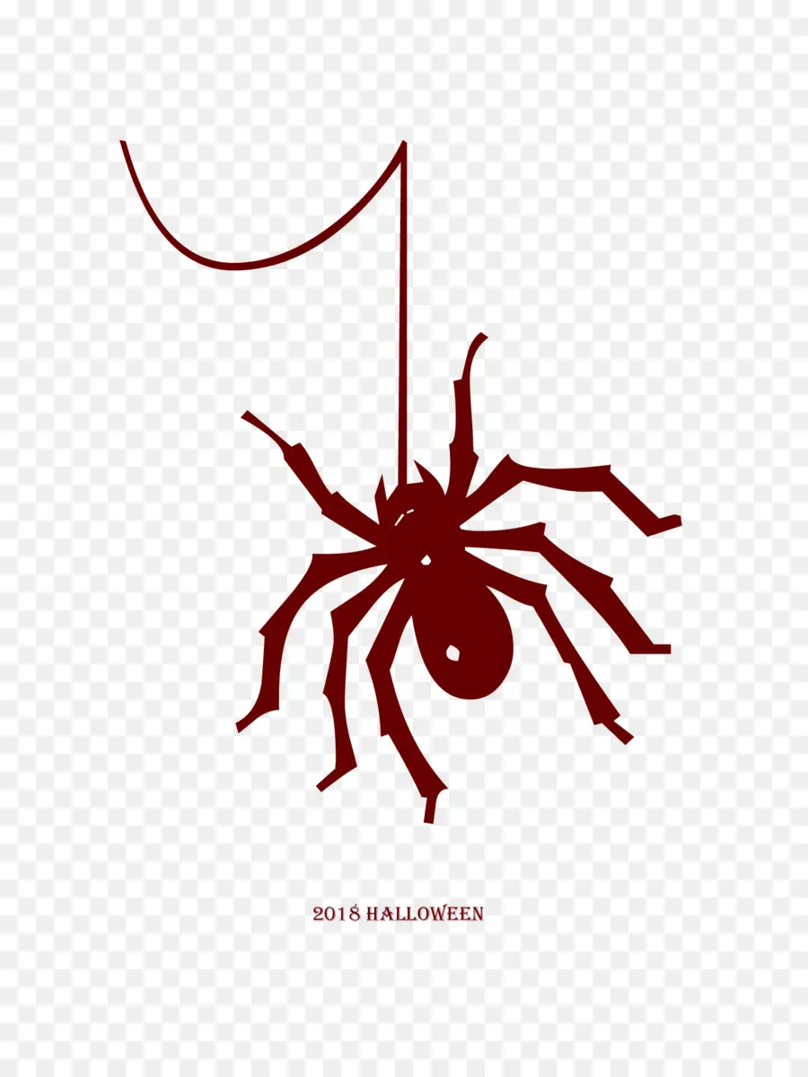 örümcek，Cadılar Bayramı PNG
