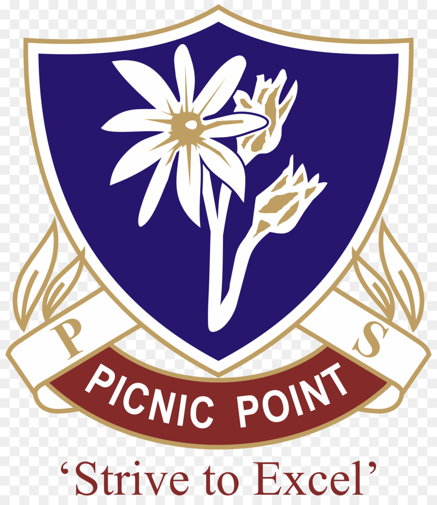 Piknik Point Public School，Okul PNG