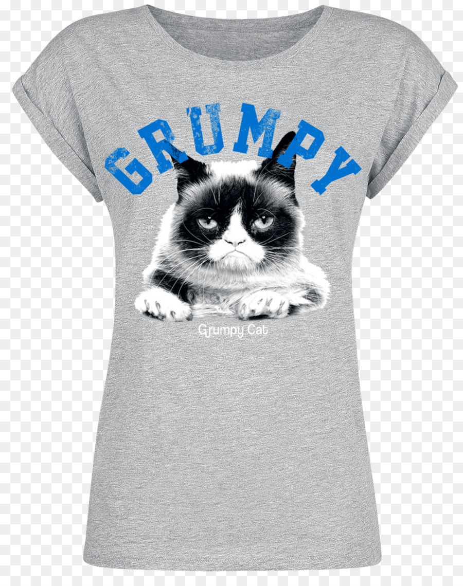 Tshirt，Kedi PNG