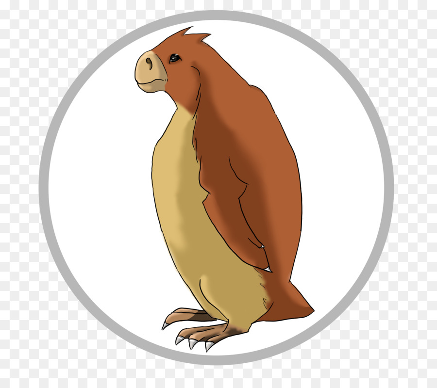 Baykuş，Bilim PNG