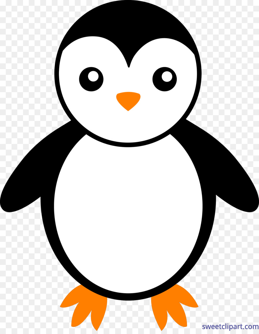 Penguen，Kuş PNG