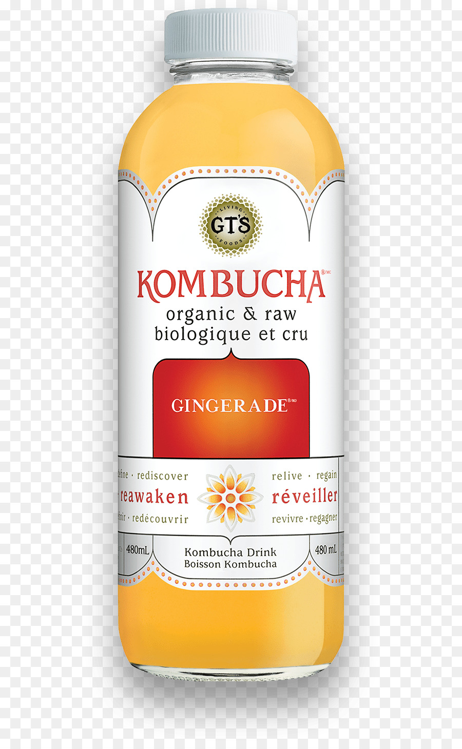 Kombucha，çay PNG