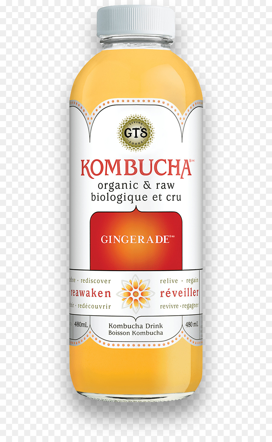 Kombucha şişesi，Içmek PNG