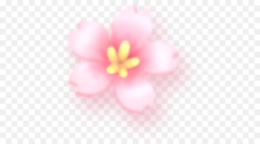 Yaprağı，çiçeği PNG