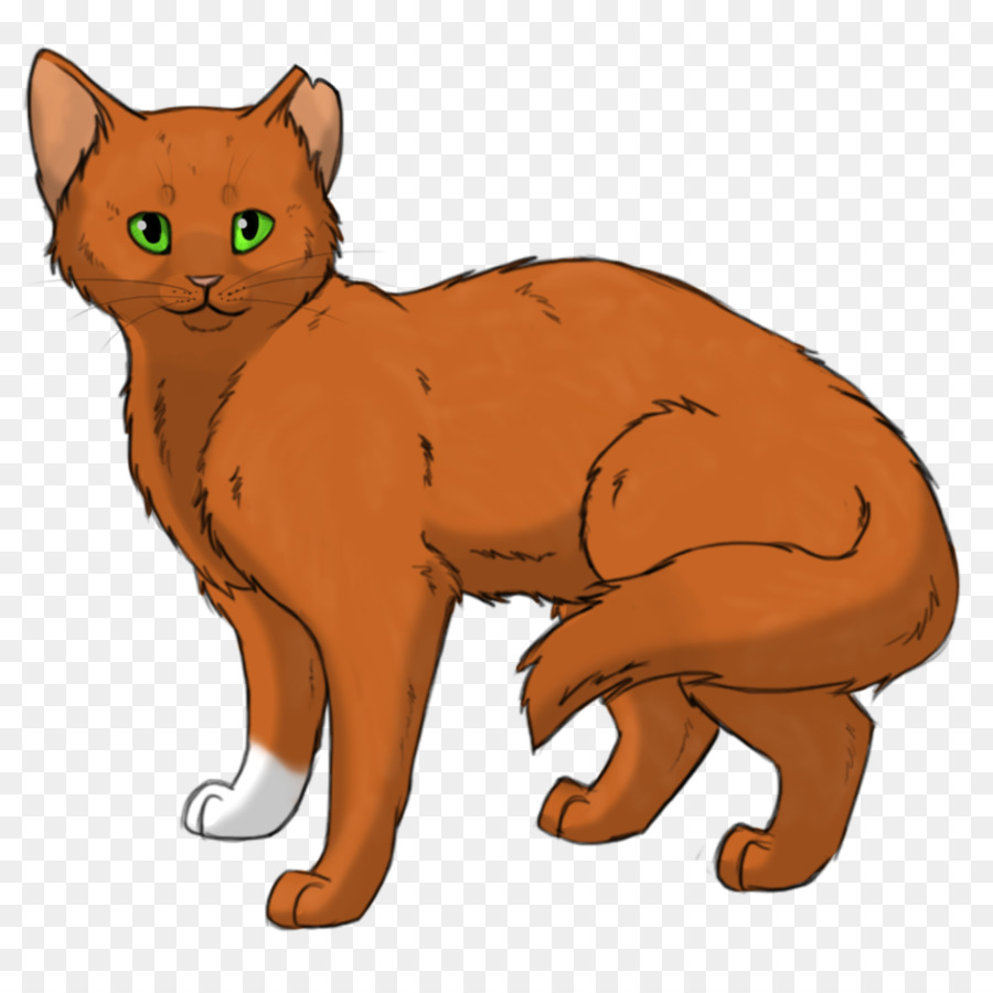 Kedi，Evcil Hayvan PNG