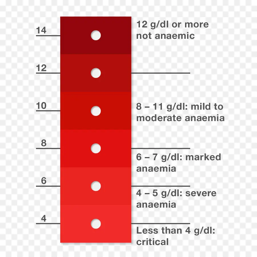 Anemi Tablosu，Hemoglobin PNG