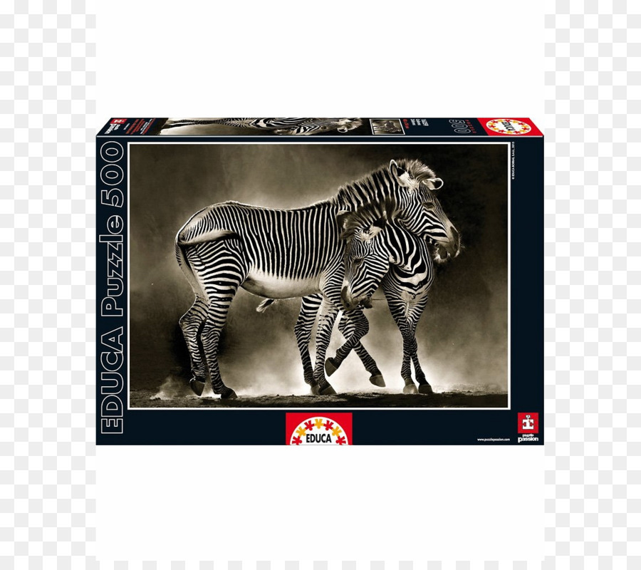 Jigsaw Bulmaca，Zebra PNG
