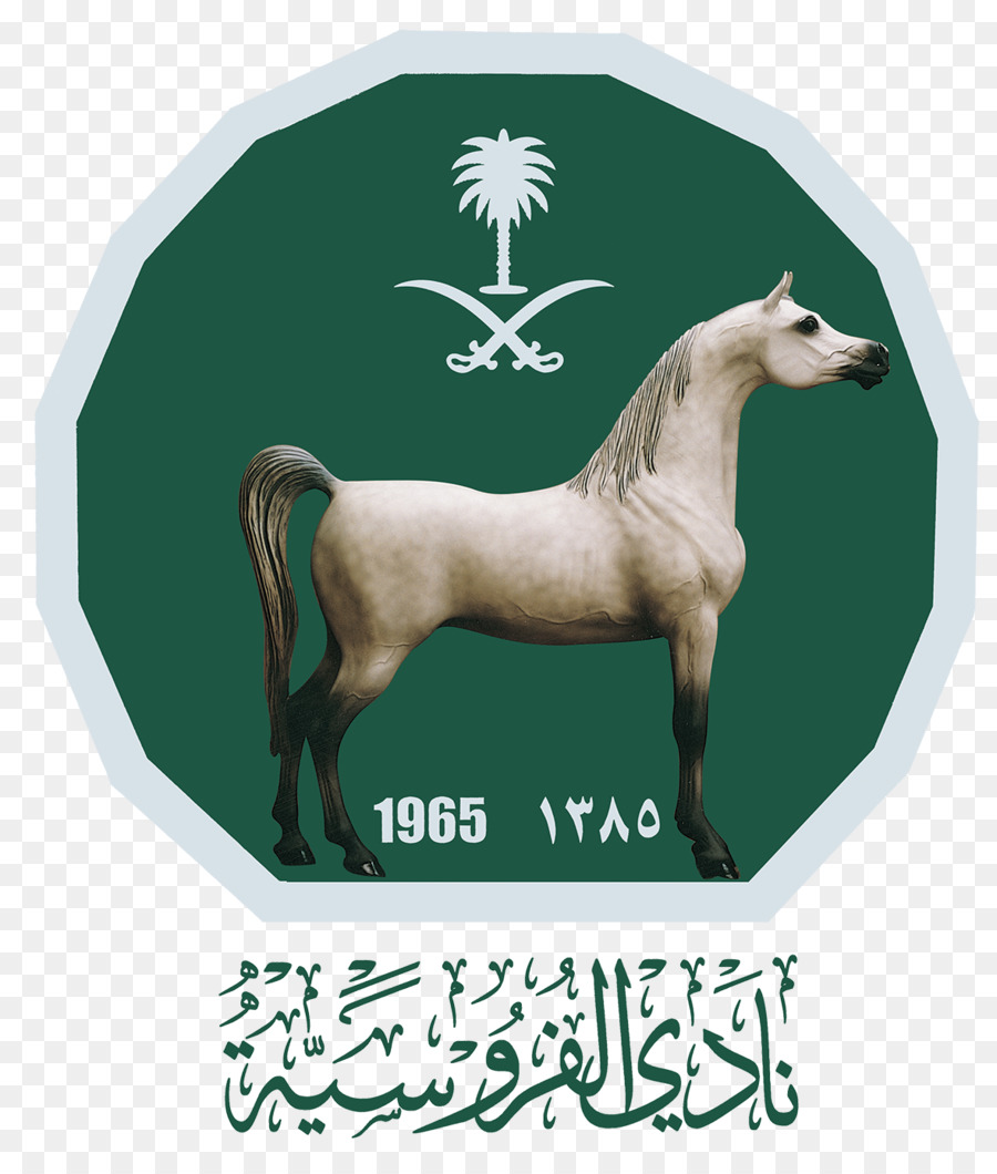 At，Riyad Binicilik Kulübü PNG