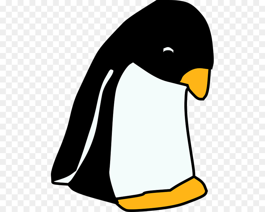 Penguen，Kuş PNG