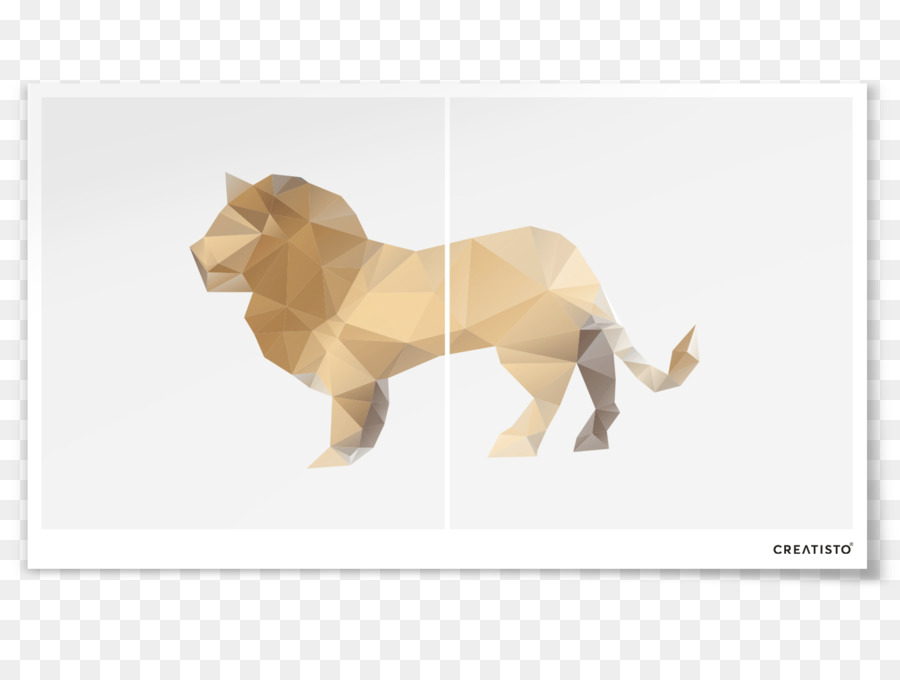 Aslan，Poligon PNG